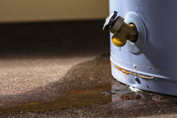 Best 24/7 water damage repair  in Glendora, NJ