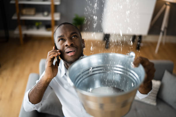 Best Flood damage cleanup  in Glendora, NJ