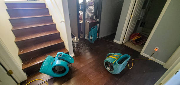 Best Basement water damage restoration  in Glendora, NJ