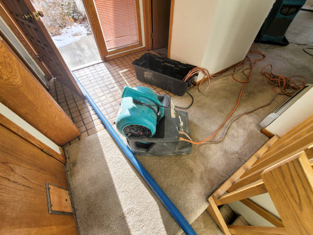 Carpet water damage restoration in Glendora, NJ