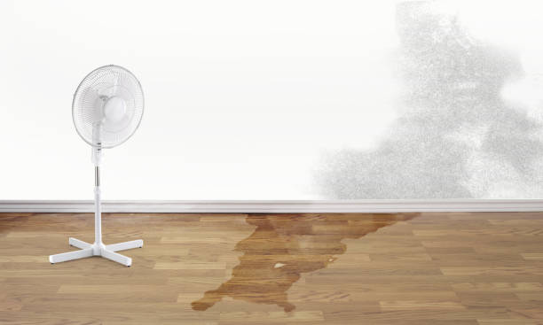 Best Emergency water damage restoration  in Glendora, NJ