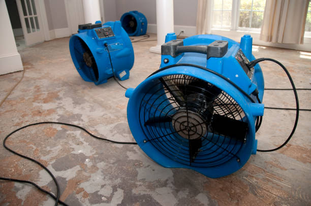 Best Professional water damage repair  in Glendora, NJ