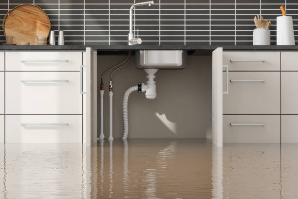 Best Mold removal after water damage  in Glendora, NJ