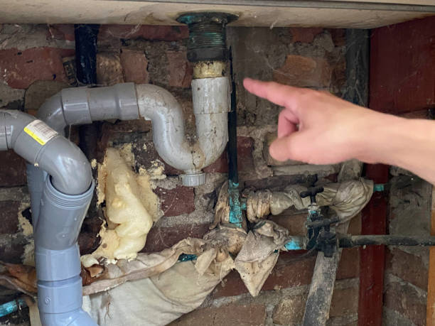  Glendora, NJ Water damage restoration Pros