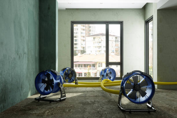 Best 24-hour water damage restoration  in Glendora, NJ