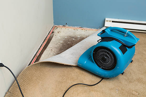 Best Water damage repair service  in Glendora, NJ